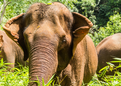 Mondulkiri in Cambodia